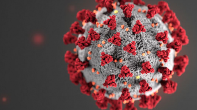 Coronavirus-COVID-19 coronavirus